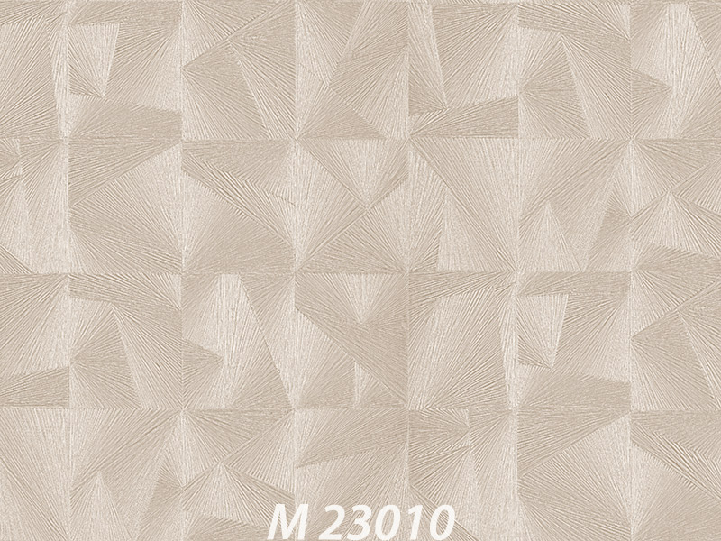 M23006 Oбои