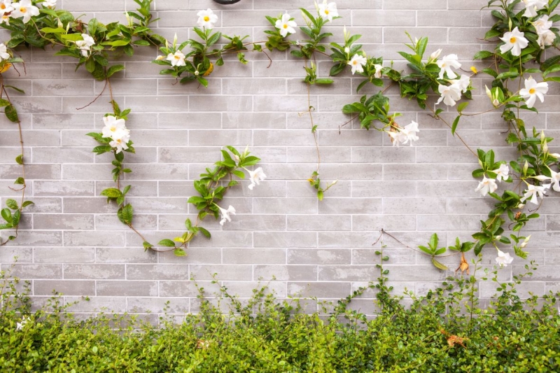 Кирпичная стена с цветами