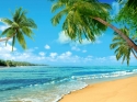 Тропический пляж 1 