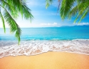 Тропический пляж 2 