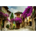Old provence