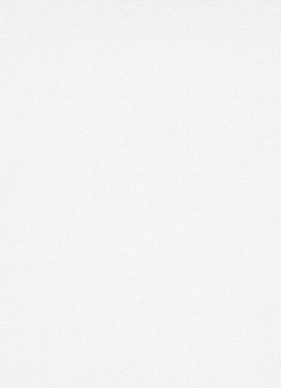 13006-14 / 13006-10 Wallpaper