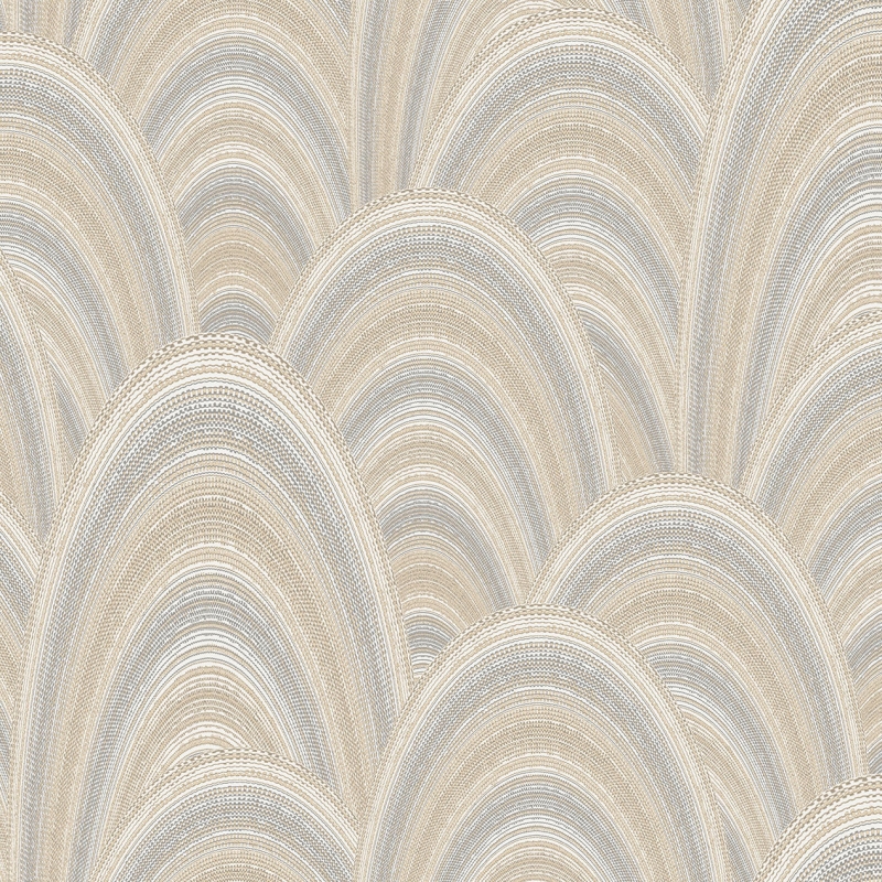 49341 Wallpaper