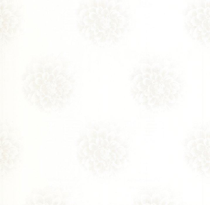 13552-40 Wallpaper