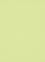10133-07 Wallpaper (TV)