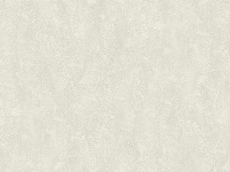 Z10910 Wallpaper