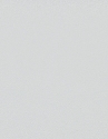 10335-31 / 12168-31 Wallpaper