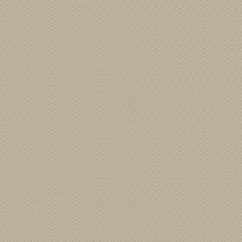 Z21737 Wallpaper