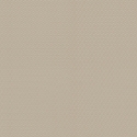 Z21737 Wallpaper