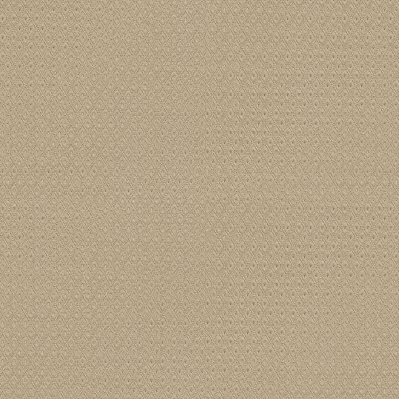 Z21738 Wallpaper