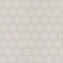 Z76010 Wallpaper