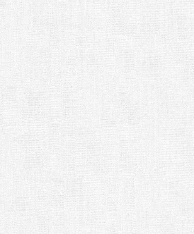 3010 Wallpaper
