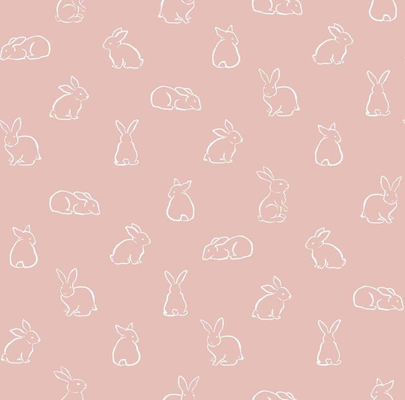 17148 Wallpaper