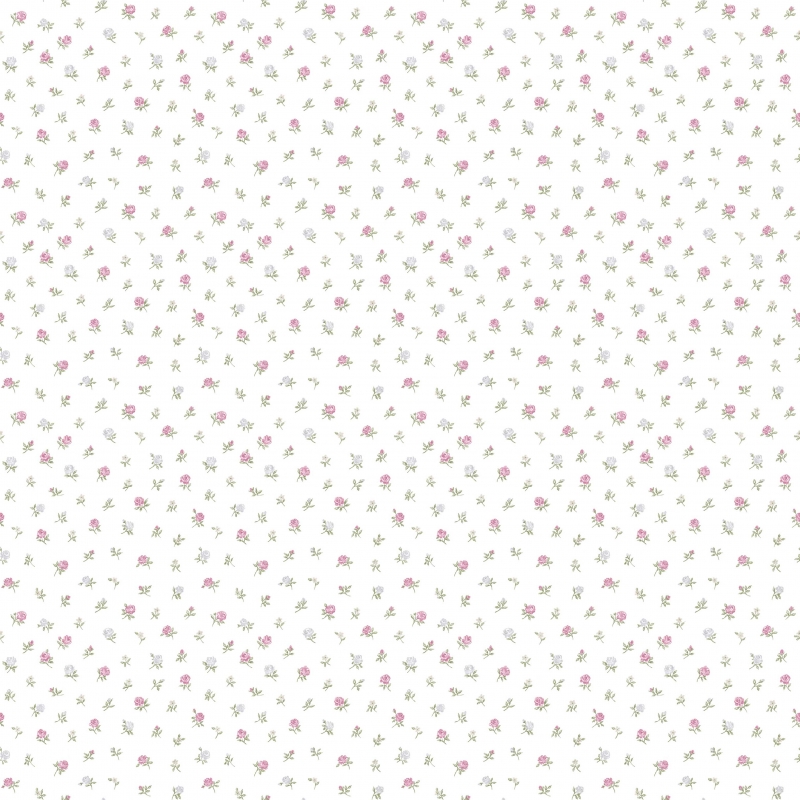 12336 Wallpaper