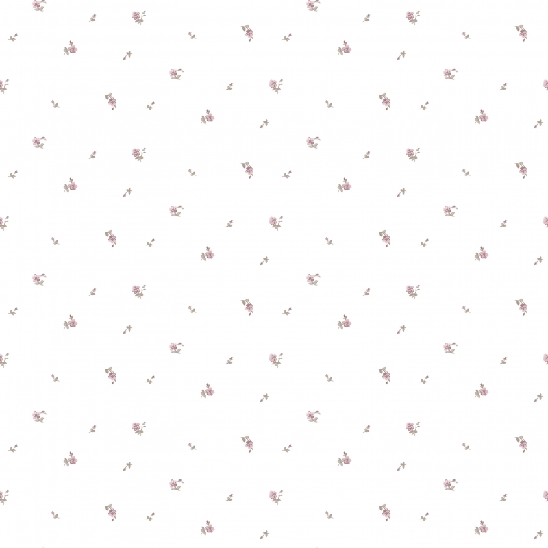 12341 Wallpaper