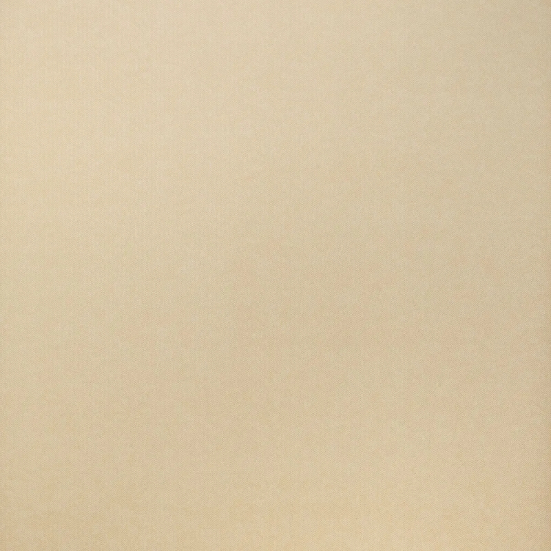8003 Wallpaper