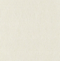 OM2102 Wallpape