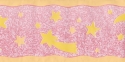 303230 Decorative wallpaper border