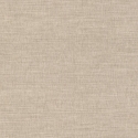 484540 Wallpaper
