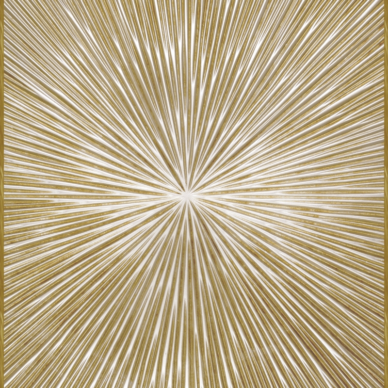 Z30358 Raggi Cornice Digital Decorative Panels