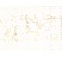 470413 Decorative wallpaper border